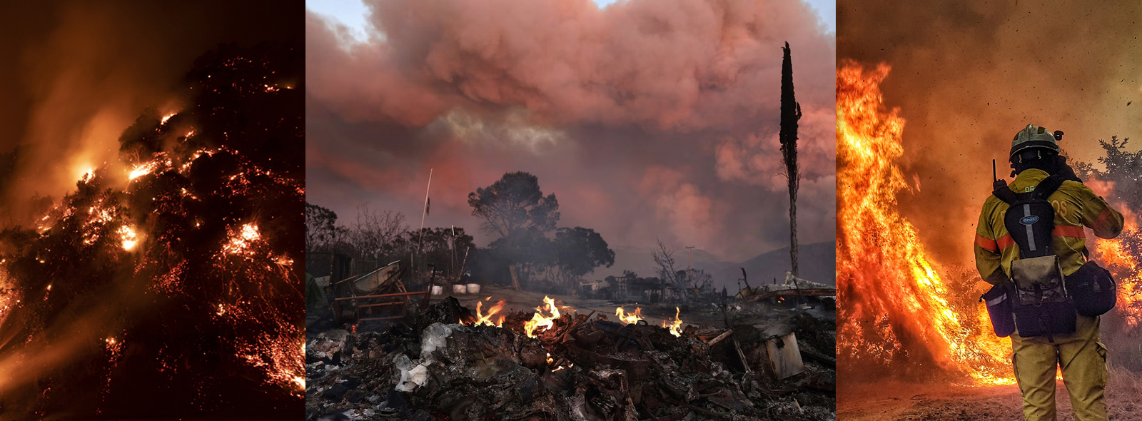 Support PPOA Members Impacted by Wildfires