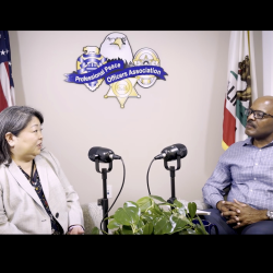 PPOA Podcast #5: Discussion with Sr. Budget Deputy for County Supervisor