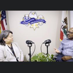 PPOA Podcast #5: Discussion with Sr. Budget Deputy for County Supervisor